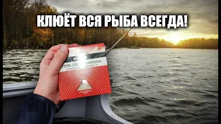 Насыпьте это! Клюёт вся рыба всегда!