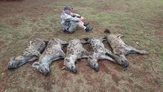 Hyena Hitman takes five in three minutes