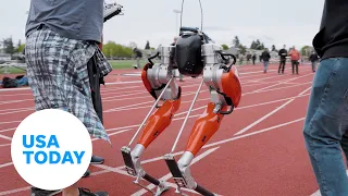 ‘Cassie’ sets world record for fastest 100 meters by a bipedal robot | USA TODAY