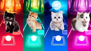 CUTE CATS WEDNESDAY BLOODY MARY vs BTS BUTTER vs BLACKPINK LISA MONEY vs X BTS MY UNIVERSE TILES HOP