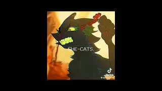 One of the best warrior cat videos on Tiktok