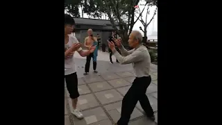 Wing Chun (young) VS Praying Mantis (old)