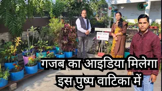 Garden Hacks and Ideas with Overview | Pushp Vatika | Waste material Gardening