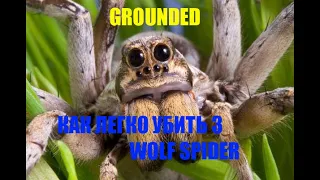 grounded 2020  КАК ЛЕГКО ВЫПОЛНИТЬ ЗАДАНИЕ ПО УБИЙСТВУ - wolf spider
