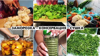 Закупка овощей и фруктов с рынка/Заморозка и сушка зелени на зиму/Домашняя универсальная приправа
