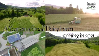 A Year on a Small Dairy Farm | Farming in 2021