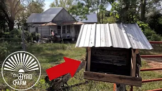 140 YEAR OLD FARM GETS A GUEST BOOK! (AND HUGE ANTIQUE SALE!)