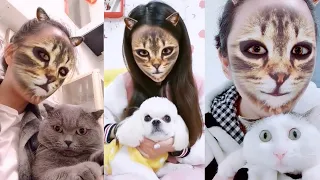 Cat and Dog Reaction to Cat Filter - Funny Cats & Dogs with Cat Filter ! cat reaction