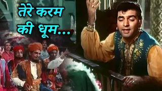 तेरे करम की धूम - Mohammed Rafi ka Superhit Qawwali Song | Feroz Khan | Char Darvesh | हिट कव्वाली