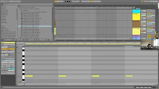 Using Ableton's Simpler To Create An Acid House Track With TB-303