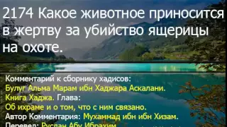 2174 Какое животное приносится в жертву за убийство ящерицы на охоте