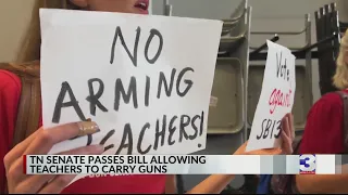 Tennessee Senate passes bill allowing teachers to carry guns in school