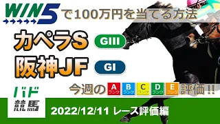 【WIN5で100万円：レース評価編】 2022年12月11日（日）カペラS・阪神JF