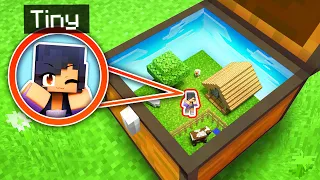 My SECRET Tiny Spot In A MINECRAFT CHEST!