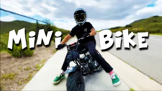 Wicked Fast Mini Bike!