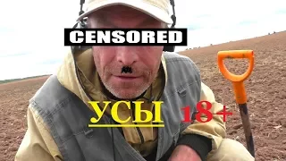 УСЫ....