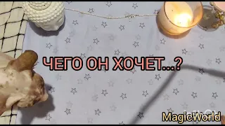 ЧЕГО ОН ОТ ВАС ХОЧЕТ⁉️💯