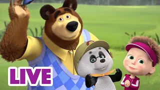 🔴 LIVE 🐻👧 Masha y el Oso 2023 👪La familia lo es todo 🎬 Masha and the Bear