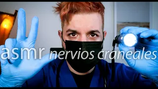 ASMR de NERVIOS CRANEALES Completo, realista, para DORMIR