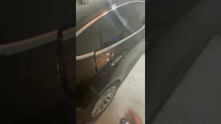 Tesla Model S door open itself