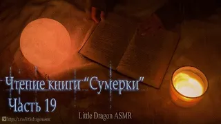 АСМР Чтение книги Сумерки часть 19| ASMR reading The Twilight Saga | rain sounds |Little Dragon ASMR