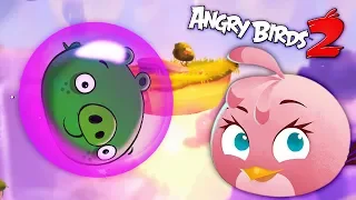 Энгри Бердс 2 ПУЗЫРИМ СВИНЕЙ в весёлой  мульт игре про ЗЛЫХ ПТИЧЕК Angry Birds 2