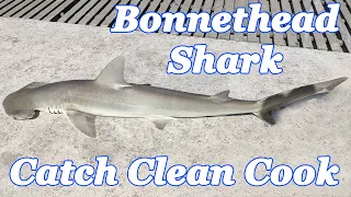 Bonnethead Shark - Catch Clean Cook