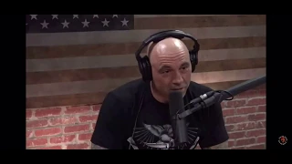 Joe Rogan's entire being condensed into 30 seconds