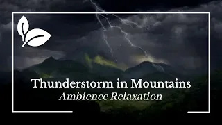 Softly & Relaxing Thunderstorm Sounds & Rain Sounds For Sleeping | Ambience