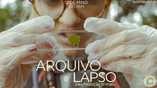 Arquivo LAPSO - BST 2024