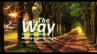 Ed Doss - Discipleship - The Way Congregation