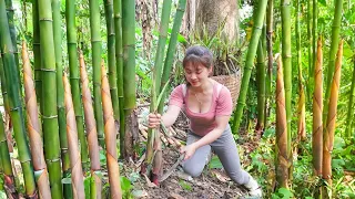 Harvesting Bamboo Shoot Go To Market Sell - Take care of the pineapple garden | Nhất My Bushcraft