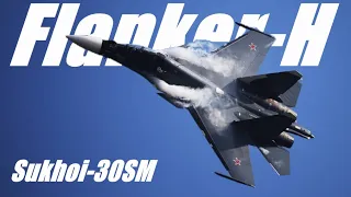 Su-30SM Flanker-H - Edit