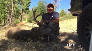 SHOT My Biggest BLACKTAIL || BLACKTAIL Deer shoulder shot