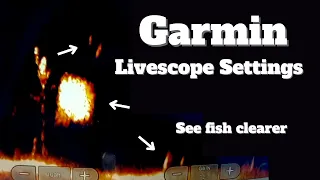 Garmin Livescope Settings (How to adjust your settings for the best result)