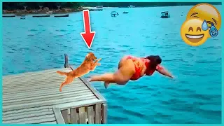 IMPOSSIBLE TRY NOT TO LAUGH 🤣 Funny Videos Every Days 😹😸 Funny Memes 2024 #2