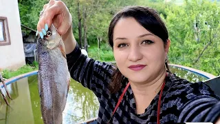 Ձուկը  Տոմատի Սոուսով Ջեռոցում-Рыба в Томатном Соусе- Շամշադինի Համը-Шамшадин