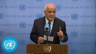 State of Palestine on the Israeli occupation - Security Council Media Stakeout (28 October 2022)