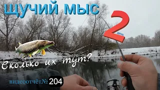 щучий мыс 2