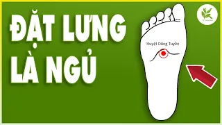 MẤT NGỦ LÂU NĂM Cũng Khỏi | Bấm Vào 3 Huyệt Ngủ Ngon Đến Sáng | TCL