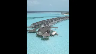The Best All-Inclusive Resort in The Maldives 😲 OZEN LIFE MAADHOO