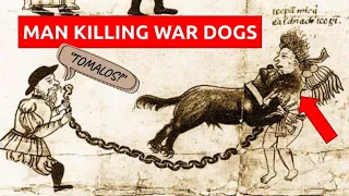 The HORRIFYING War Hounds of the Conquistadors: How the Spanish used dogs to terrorize the New World