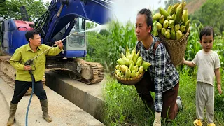 Harvest sticky corn to sell, enjoy corn cakes with husband and daughter