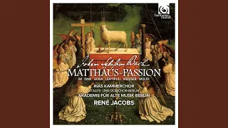 Matthäus-Passion: Erster Teil, 5. Recitativo (Alt) Du lieber Heiland du