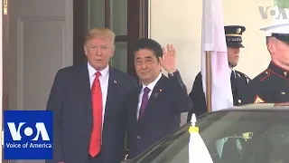 Japanese Prime Minister Abe arrives at White House for talks with Trump