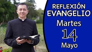 Evangelio de hoy Martes 14 de Mayo de 2024 | Lectura y Reflexión