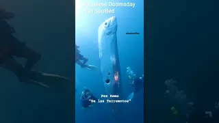 Doomsday Fish