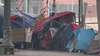 CA homeless population now adults 50 and over