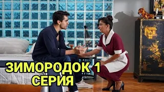 Зимородок - 1 серия : Счастливы Вместе!