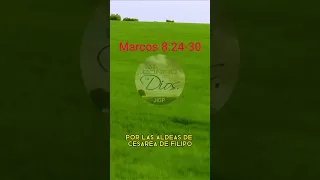 Promesas de Dios 43, Marcos 8:24-30 #Dios #Cristo #Biblia #Fe #Oracion #Evangelio #Adoracion